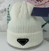 Designer Beanie Winter Hüte für Frauen Männer Herbst Docker Brimless Cap Designer Ganze Damen Zubehör Skullcap Hip Hop Outdoo2793975