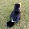 30 cm Big Kyorochan Simulation Toucan Bird Animal Plush Toy Doll Kids Birthday Gift Home Decoration LA3089427184