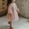 Bébé Fille Maille Robes Printemps Automne Broderie Fleurs À Manches Longues Jolie Robe Filles Tulle Princesse Robe Pour Enfants Dentelle Vêtements G1129