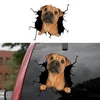 Autoadesivi per finestre Animale da parete Auto PVC PVC Art Decalcomanie Affascinanza Adesivo Cavallo Cavallo Cavallo 3D Funny Sticker Home Toilet Kicthen Decor