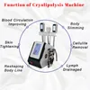 Gewichtsverlust Kryolipolyse Fettgefriermaschine Tragbare Lipo-Saugausrüstung Ultraschallkavitations-Körperformungsgerät
