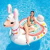 Alpaga gonflable flottant drainage adulte dinosaure mont gonflable Flamingo personnalisé PVC produits en TPU