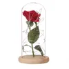 Flores decorativas grinaldas do dia de mãe presente tampa de vidro imitação ornamento da lâmpada de rosa decoração da casa pequena luz luz