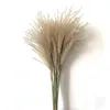 8/10/20 st Real Torkade Pampas Grass Fluffy Wedding Flowers Bouquet Natural Växter för Thanksgiving Day Christmas Home Decor 210317