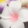 100pcs 7cm Whole Plumeria Hawaiian Foam Frangipani Flower For Wedding Party Hair Clip Flower jlloiM lucky 680 S21159379