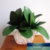 Dekorativa blommor kransar gren av skum phalaenopsis orkidé blad för hem kontor dekoration (grönt) 1 fabrik pris expert design kvalitet senaste stil original