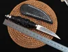 1Pcs High End Small Damascus Straight Knife VG10 Damascuss Steel Blades Ebony Handle Fixed Blade Knives With Leather Sheath