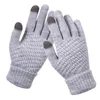 Sports Gloves Winter Touch Screen Women Men Warm Stretch Knit Mittens Imitation Wool Full Finger Female Crochet Thicken