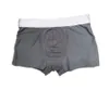 5st Mot Mens Underwear Boxer Shorts Modal Sexig Gay Male Ceuca Boxers Underpants Breattable New Mesh Man Underwear M-XXL2939