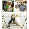 1 PC Pet Birt Lustro Drewniane Zagraj Zabawki Z Uroczyste Papuga Pudgie Parakeet Cockatiel Conure Finch Lovebird Cage Supplies