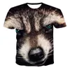 t-shirts à imprimé animalier enfants