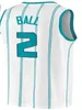 Prited Lamelo Ball Basketball Jersey Terry Rozier Gordo Hayward P. J. Washigto Mark Williams Brado Miller Larry Johso Msy Bogues Curry Horet City City