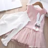 girls cartoon princess dress autumn winter children imitation mink fur bunny sundress 2021 Splicing tulle kids clothing S1689