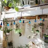 Outros suprimentos de jardim Cerca ganchos de plantas gancho de aço inoxidável suportes de suspensão para luzes de interiores interiores decoração de jardinagem