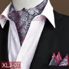Homens Moda Paisley Cravat Handkerchiep Ascot Scarf Pocket Square Set BWTRS0074
