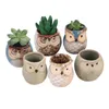 6 pièces en céramique hibou Pot plante succulente Cactus Pot de fleur conteneur planteur bonsaï Pots H99F 2106157799743