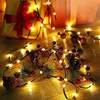 76FT 200ds Outdoor Christmas String Lights Fairy Light 8 Tryby Zielony Drut LED Struny Wodoodporne Twinkle Oświetlenie Ciepła Biała Mulita Kolor 24V