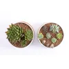 Bamboo Tray Plant Saucer Flower Container Creative Original Wood Color Environmentally Friendly Round Coasters Tabletop Set Planters & Pots