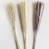 Natural Real Pampas Grass Table Dried Flowers Decor Boho Artificial Plants Mariage Home Decoration Wedding Christmas Accessories 20220113 Q2