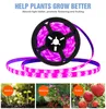 3M Full Spectrum LED Phyto Lamps USB Plants Strip Light 5V Grow Lights For Indoor Greenhouse Hydroponic Plant Seeding Flower