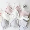 pant underwear for girl