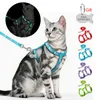 tags de nome de gato e colares