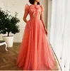 Vintage Pink Dots Tulle prom Dresses With Pockets A-Line Juliet Sleeve Ruffles Long Formal Evening Gowns High Neck Sweet 16 Quinceanera Dress Special Occasion