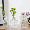 Nordic Thicken Glas Vase Transparent Grå Rosa Vardagsrum Blomma Bar Heminredning Torkad Flaska Wazon Gift 211215