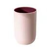 Nordic Two-color Brushing Cup Bathroom Mouthwash Home Plastic Simple Couple Tooth Tank Wash Mugs