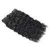 Brazilian Water Wave Bundles 3pcs with 2*4 Closure Natural Black Human Bundles with Closure Wholesale Brazilian Hair Weave Bundles