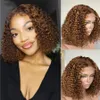 Destaque Brown Brazilian Lace Frontal Wig Short Bob Wigs Synthetic for Women Kinky Curly Guleless 250% Density