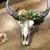Суккулентный цветок коровы черепа настенный декор питомника цветы сад украшения быка голова смола украшения кулон украшения настенные ремесла 210727
