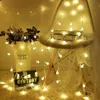 10M 100LED 220V/110V LED Ball String Lights Christmas Bulb Fairy Garlands Outdoor For Holiday Wedding Home New Year's Decor Lamp