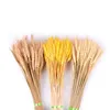 Flores decorativas grinaldas 50pcscsc Natural Flower Wheat Weat Wedding Home Decoration Scrapbook Po Props Buquet Diy Craft