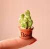 7pcs mini artificiale carnoso cactus pianta reale tocco palm bonsai paesaggio decorativo fiore talbe decorazione resina miniatura