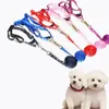 Dog Collar Leashes Slitstarka Färgrik Polyester Pet Traction Cat Collar Sele Lash Peppy Mjuk Walking Fixed Lead Rope Belt