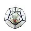 Glasvase Geometrisk Terrarium Tabletop Decor Fotbollsplanter för Suckulent Fern Moss Air Plants Bröllop Kaffebord Utomhus Inomhus Heminredning (Inga Växter)
