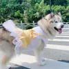 Prinses Medium Large Costume Plaid Pet Kleding voor Honden Rok Jurken Disfraz Perro Labrador