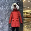Haute qualité femme hiver loup voyage Parka doudoune longue bouffante manteaux classiques chaud pardessus vêtements d'extérieur