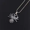 Pendentif Colliers Mode Spider Halloween Pendentifs Ronde Croix Chaîne Courte Longue Hommes Femmes Argent Bijoux Cadeaux