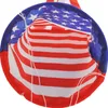 US Flag Wind Sock Cone Independence Day Labor Days Festive Party Flags