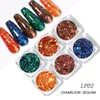 Nail Art Set Lichtgevende kameleon Symphony Sequin Series Laser Flash Powder Nails Patch Kits