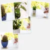 Watering Equipments 250/500ML Mini Plastic Plant Flower Watering Bottle Sprayer Curved mouth can DIY Gardening Transparent for succulent practical Convenient