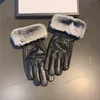 Zachte bont handschoenen winter comfortabele mitten klassieke stijl pluche lederen wanten hoge kwaliteit warme handschoen voor vrouwen