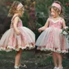 Hot Lovely Toddler Infant Flower Baby Girl Dress Lace Flower print Tulle Princess V-neck sleeveless Ruffle backless Mini Dresses Q0716