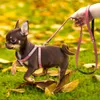 Dog Collar Leashes Bling Rhinestone Harness Läder Puppy Cat Vest Leash Set för Små Medium Chihuahua Pug Yorkshire Pet Supplies