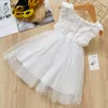 European And American Kids Clothing Dresses Wholesale Summer Fashion Korean Children's Dream Fairy Princess Dress