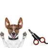 Acier inoxydable Pet Nail Clipper Chien Toilettage Fournitures Chiens Chats Ongles Ciseaux Tondeuse pour Animaux Santé 10 Couleur En Gros