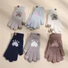 cat hair glove