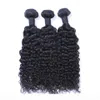 Indiano Jerry Curl 100 Capelli Vergini Umani Non Trattati Tesse Estensioni Dei Capelli Umani Remy Tessuti Capelli Umani Tingibili 3 pacchi2579022